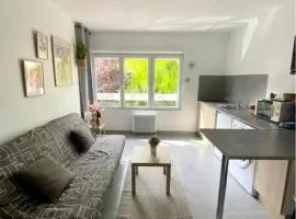 Entire apartment in Auxerre