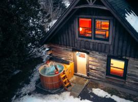 Boutique Log Cabin & Two Guest Cabins, Hot Tub, Sauna, Swimming Hole, near Whiteface, ξενοδοχείο σε Upper Jay