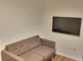 Stylishly renovated apartment in green area