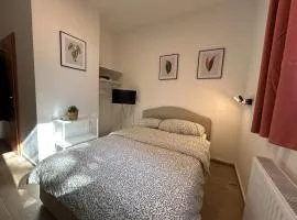 City Apartment with Free Parking - Vienna South