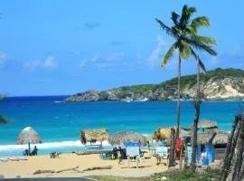 DREAM ISLAND studios & apartments with POOL Playa LOS CORALES