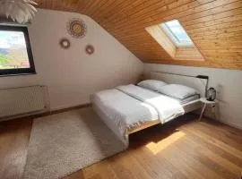 Playroom, 2 bdrooms, KRUMLOV 5 min by car, "Stone's throw Apartment"