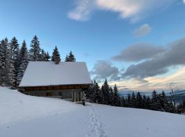 Private Forest Cabin with Epic View, hotel v destinaci Ribnica na Pohorju