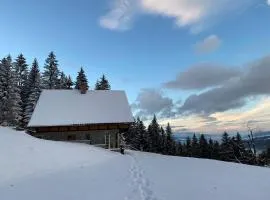 Private Forest Cabin with Epic View