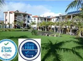 Comfortable Apartment in Ribeira Grande, 69 m², garden