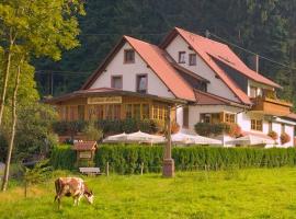 Gasthaus Hohberg, hotel v destinaci Durbach