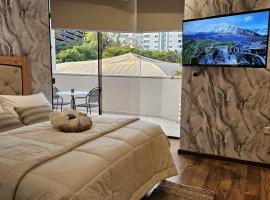 Green Palace Hotel Boutique, Hotel in der N&auml;he vom Flughafen Asunci&oacute;n, Asunci&oacute;n