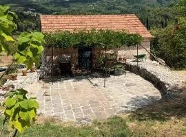 Apartments with parking space Gruda, Dubrovnik - 24966