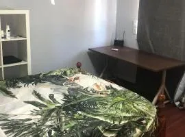 Airport Reading Room Rest