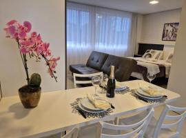 SES25 Maravilhoso Studio Espaçoso Excelente localização, hotel in Curitiba