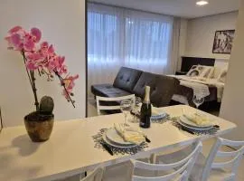 SES25 Maravilhoso Studio Espaçoso Excelente localização