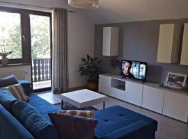 Apartment Lipa, apartment in Irinovac