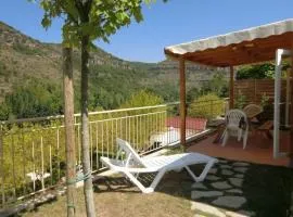 Mobil home 28m² à Saint-Rome-de-Tarn - Terrasse - API-1-52-943