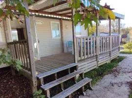 Mobil-home 30m² pour 6 pers. avec Terrasse - API-1-52-961