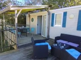 Mobil home confortable avec terrasse pour 6 personnes - API-1-52-986