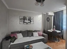 Stan na dan Bijeljina centar