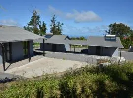 Les Zamours Des Lianes