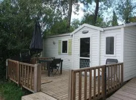 Mobil-home 3 pièces avec terrasse à Roquebrune-sur-Argens - API-1-52-1016