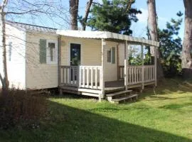 Mobil-home confortable avec terrasse pour 4 personnes à Tréguennec - API-1-52-1029