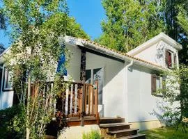 Chalet 8 pers avec Terrasse - API-1-52-1027