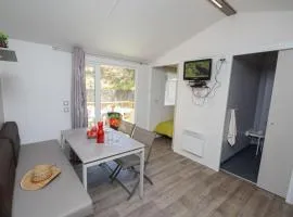 Mobil-home PMR avec Terrasse à Hyères - API-1-52-1030