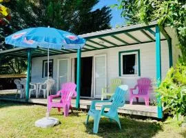 Chalet Confort 6 Pers - Terrasse - API-1-52-1032