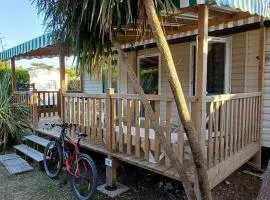 Mobil-home 33m² Terrasse à Saint-Pierre-d'Oléron - API-1-52-1040