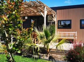 Mobil Home Prestige avec Terrasse à Saint-Jean-de-Monts - API-1-52-1055