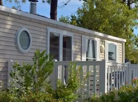 Mobile-home avec terrasse, 5 personnes, Saint-Jean-de-Monts - API-1-52-1065