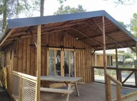 Chalet avec Accès Handicapé - Terrasse - API-1-52-1128