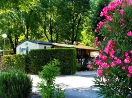 Mobil-home 32m² à Salavas avec Terrasse, pour 5 personnes - API-1-52-1180