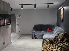 2комнатная люкс на Небесной сотни