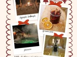 Apartamenty Gajówka- rowery, plac zabaw, sauna, jacuzzi