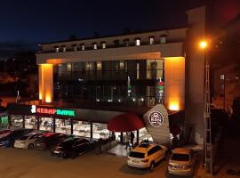 Ren Business Hotel, hotel in Gerede