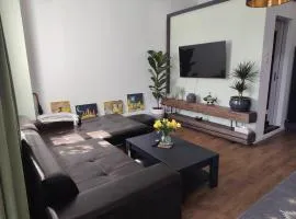 T38 Apartment, Vatra Dornei