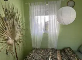 Finca Chigora nice rural house near Los Gigantes Green Room