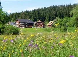 2-room holiday apartment in Landhaus Anja