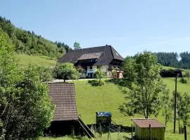 Rinkenbachhof Modern retreat