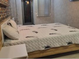 2КОМНАТНАЯ квартира в центре с отдельным входом, hotel a Kremenčuk