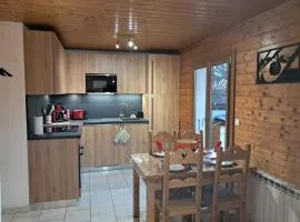 Appartement 2 Pièces à Châtel, Wifi, Animaux admis, Parking - FR-1-676-166