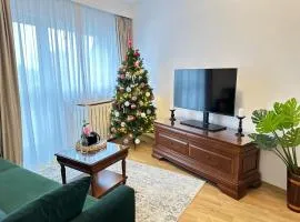 Studio PANORAMIC with Balcony and Parcul Unirii view