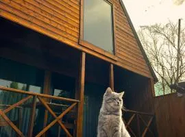 Navy Inn & Bungalows