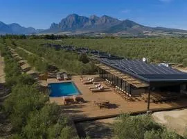 Olijvenkraal Winelands Lodge