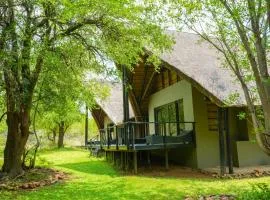 Thaba Lodge, Black Rhino, Pilanesberg