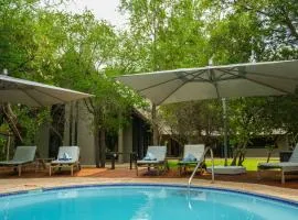 Big 5 Thaba Lodge Black Rhino Pilanesberg