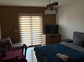 Apartman Ika 1N, hotel in Kraljevo