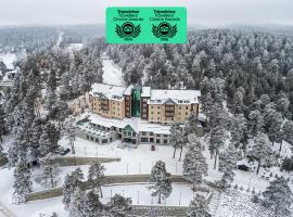 SARPİNO MOUNTAİN HOTEL, hotel in Sarıkamıs
