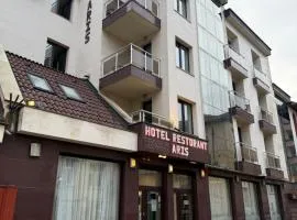 Hotel Aris