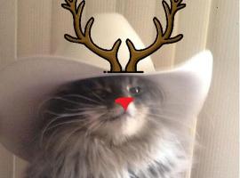 TRYP by Wyndham Dubai