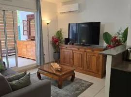 Bas de la Rivière T2 45 m en RDC clim parking